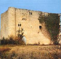 Bonifaz Tower, in Lomana (Burgos)